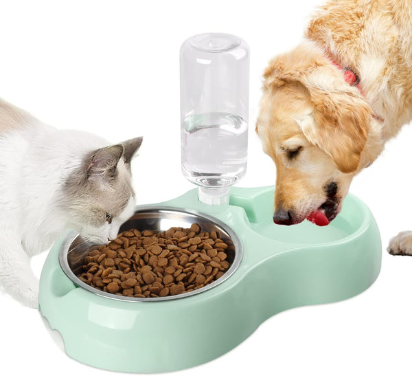 Double Dog and Cat Bowl: The Simple Mealtime Upgrade Your Pets Will Love
