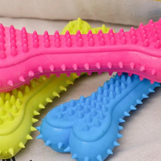 Durable Chew Toy for Small Dogs – Teeth Cleaning, Bite-Resistant & Training Aid
