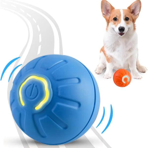 Gravity Ball Toy for Dogs & Cats – Self-Rolling & Engaging Playtime
