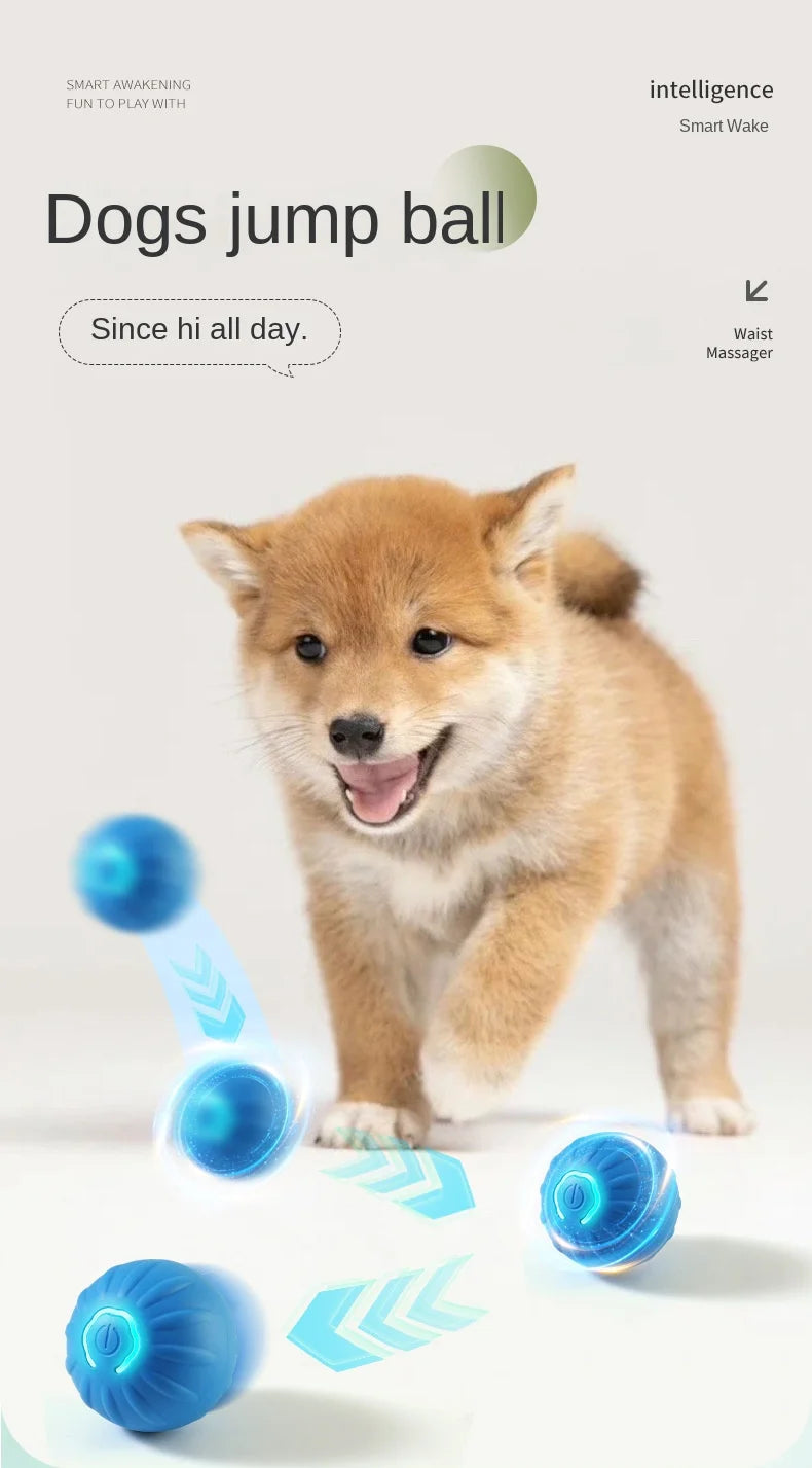 Smart Bouncing Ball for Dogs – Interactive, Brain-Boosting Play