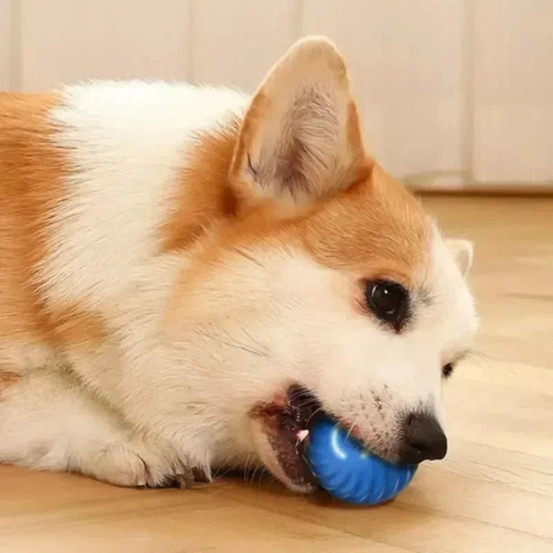 Auto-Bounce & Rolling Pet Ball – Motion-Sensing Toy for Dogs & Cats