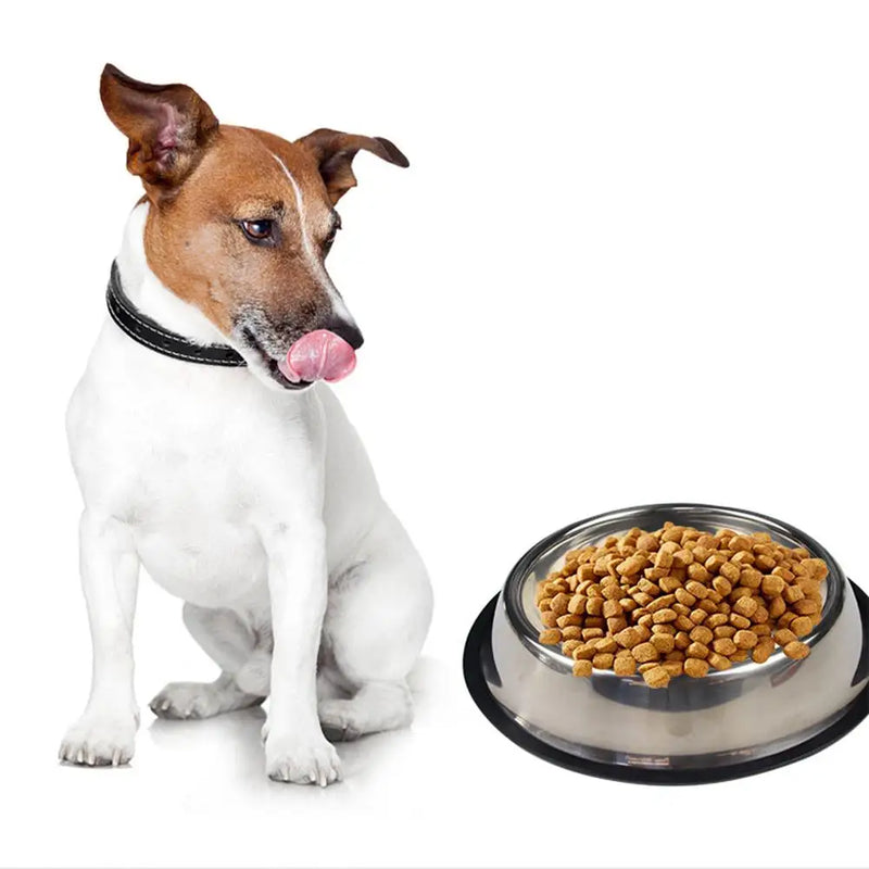 Large Capacity Stainless Steel Pet Bowl – Durable, Safe & Spill-Free