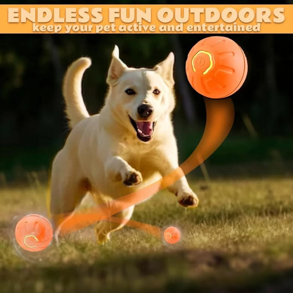 Gravity Ball Toy for Dogs & Cats – Self-Rolling & Engaging Playtime