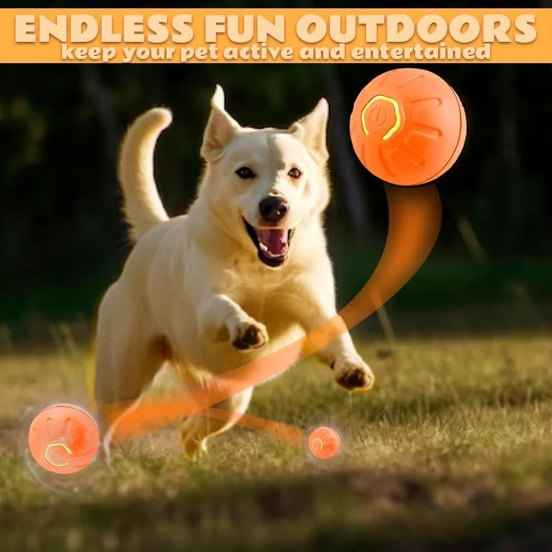 Gravity Ball Toy for Dogs & Cats – Self-Rolling & Engaging Playtime