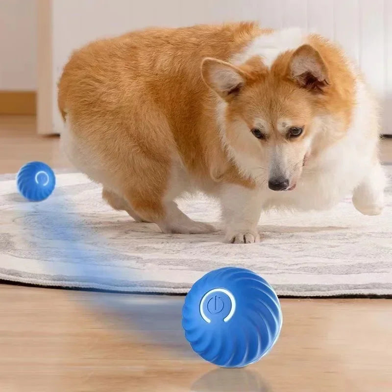 Auto-Bounce & Rolling Pet Ball – Motion-Sensing Toy for Dogs & Cats