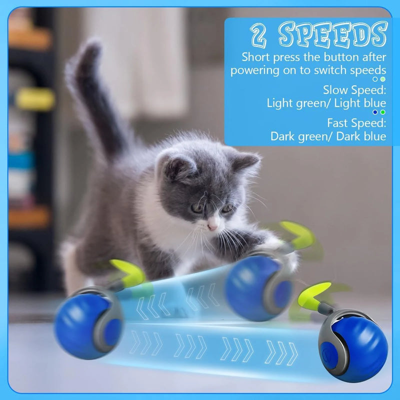 Smart Interactive Pet Ball – Fast-Rolling & Auto-Motion Toy for Dogs & Cats