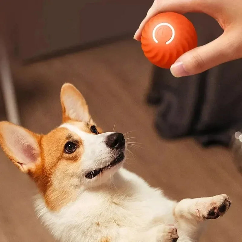 Auto-Bounce & Rolling Pet Ball – Motion-Sensing Toy for Dogs & Cats