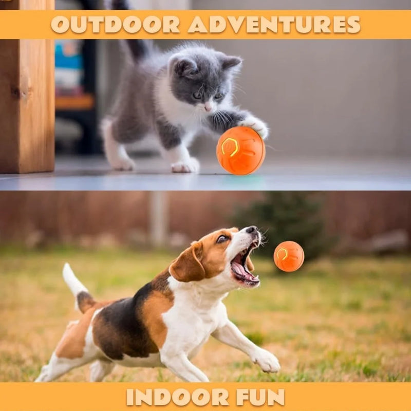 Gravity Ball Toy for Dogs & Cats – Self-Rolling & Engaging Playtime