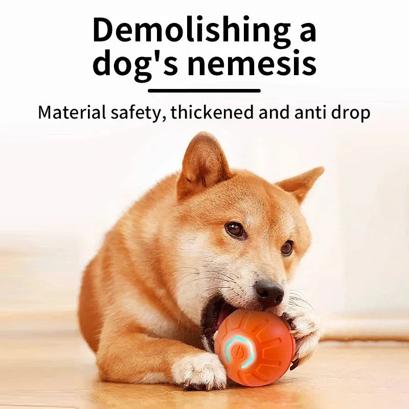 Auto-Bounce & Rolling Pet Ball – Motion-Sensing Toy for Dogs & Cats