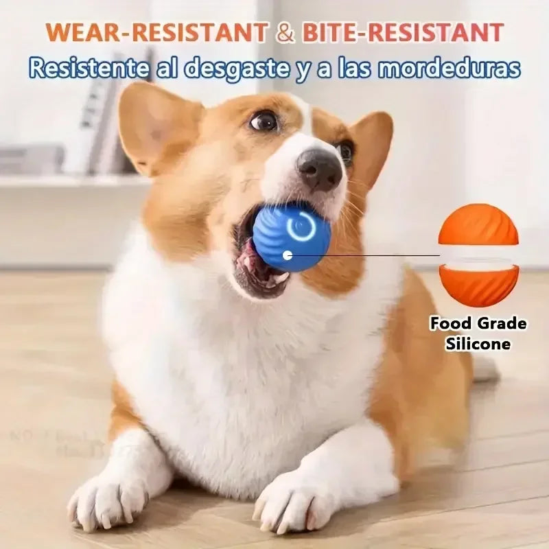 Smart Bouncing Ball for Dogs – Interactive, Brain-Boosting Play