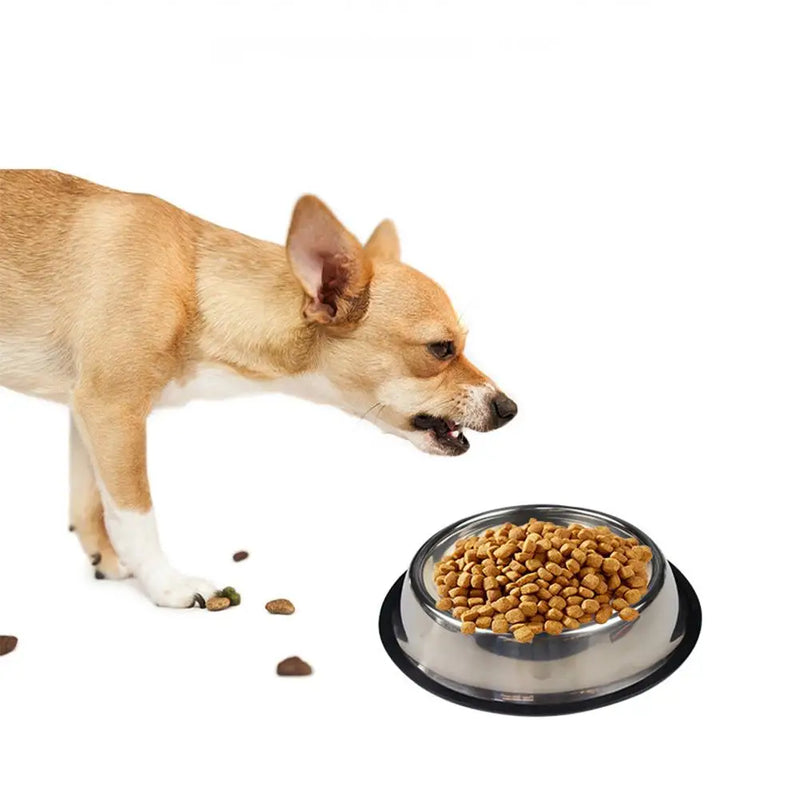 Large Capacity Stainless Steel Pet Bowl – Durable, Safe & Spill-Free