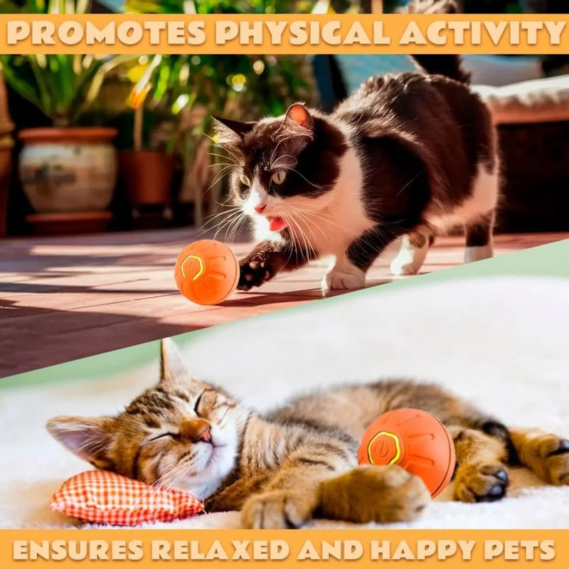 Gravity Ball Toy for Dogs & Cats – Self-Rolling & Engaging Playtime