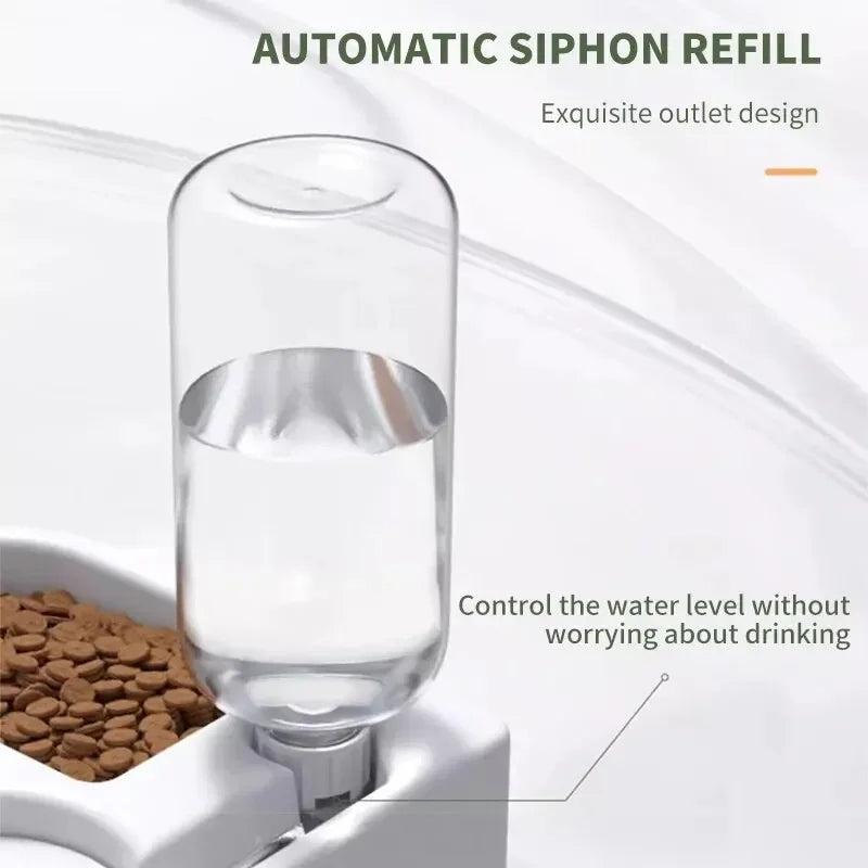 Double Dog & Cat Bowl – Feed Food and Water at the Same Time