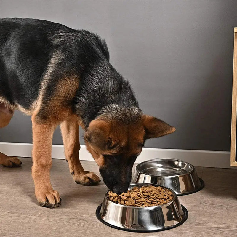 Large Capacity Stainless Steel Pet Bowl – Durable, Safe & Spill-Free