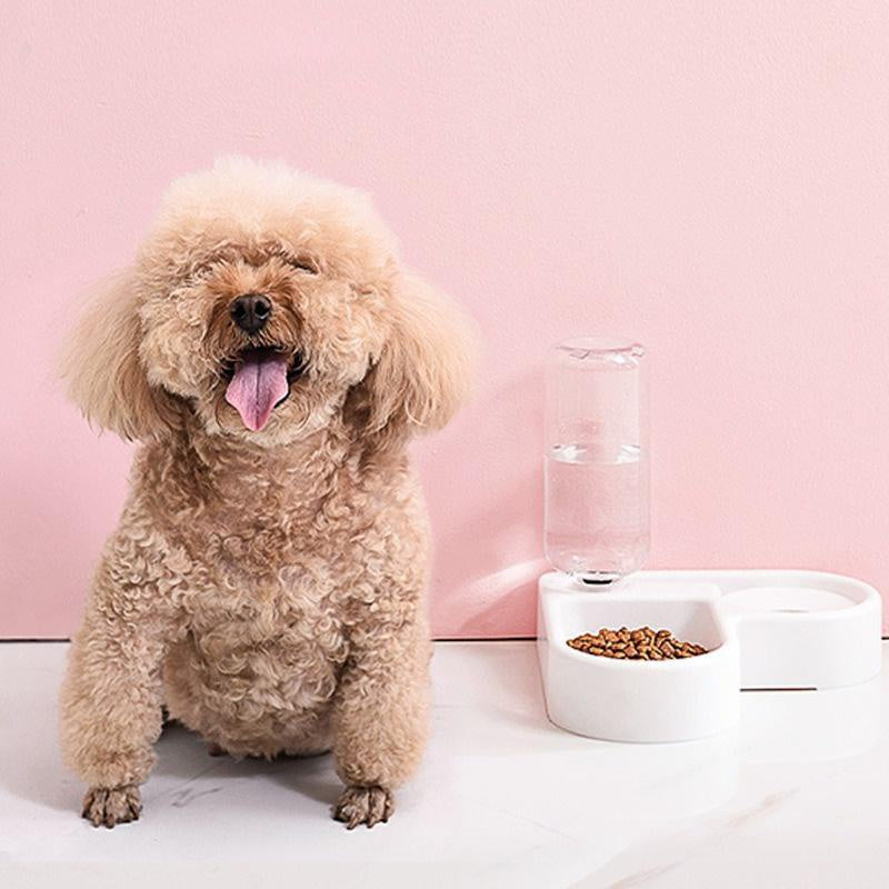Compact Automatic Pet Feeder Bowl – Ideal for Small Dogs & Puppies