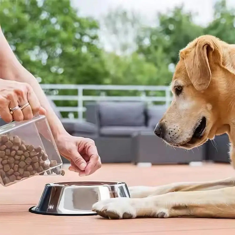 Large Capacity Stainless Steel Pet Bowl – Durable, Safe & Spill-Free