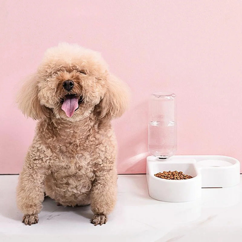 Compact Automatic Pet Feeder Bowl – Ideal for Small Dogs & Puppies