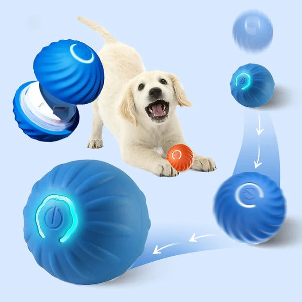 Smart Bouncing Ball for Dogs – Interactive, Brain-Boosting Play